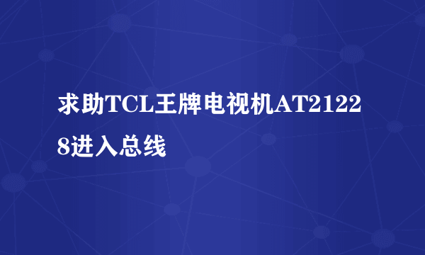 求助TCL王牌电视机AT21228进入总线