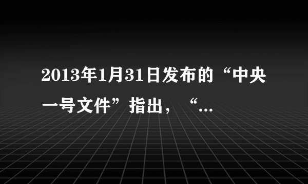 2013年1月31日发布的“中央一号文件”指出，“三农”问题是当前党和国家工作的重中之重，“重中之重”是