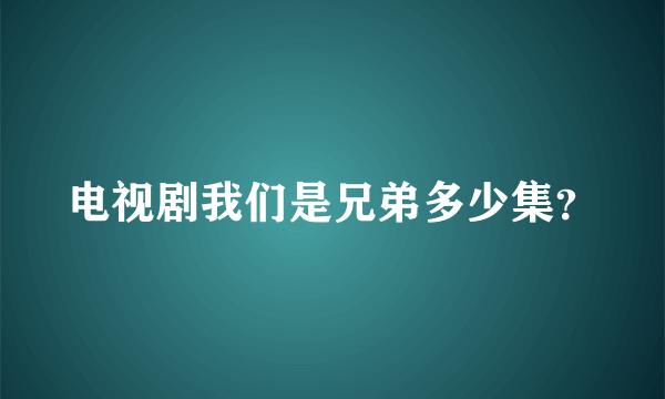 电视剧我们是兄弟多少集？