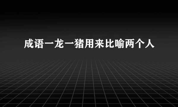 成语一龙一猪用来比喻两个人