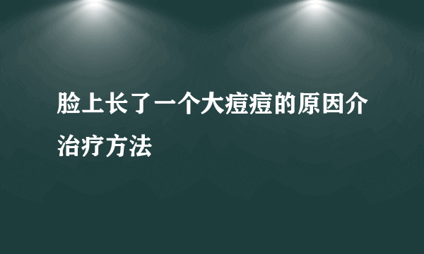 脸上长了一个大痘痘的原因介治疗方法