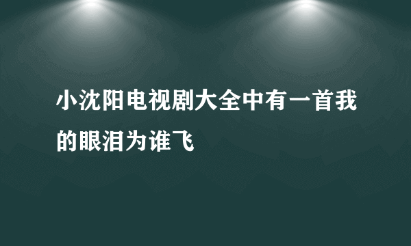 小沈阳电视剧大全中有一首我的眼泪为谁飞