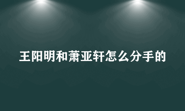 王阳明和萧亚轩怎么分手的