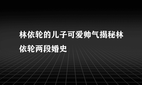 林依轮的儿子可爱帅气揭秘林依轮两段婚史