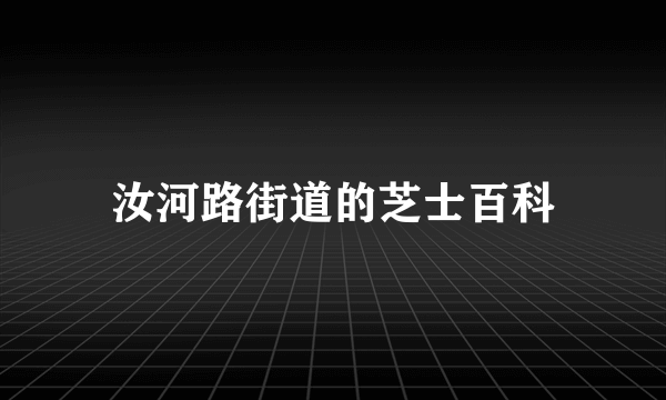 汝河路街道的芝士百科