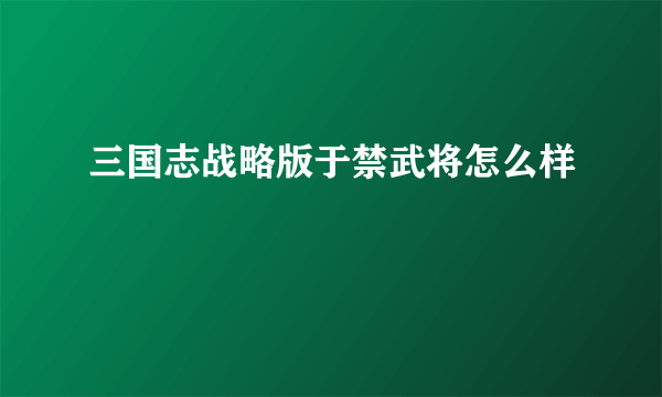 三国志战略版于禁武将怎么样