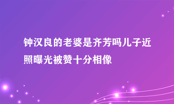 钟汉良的老婆是齐芳吗儿子近照曝光被赞十分相像