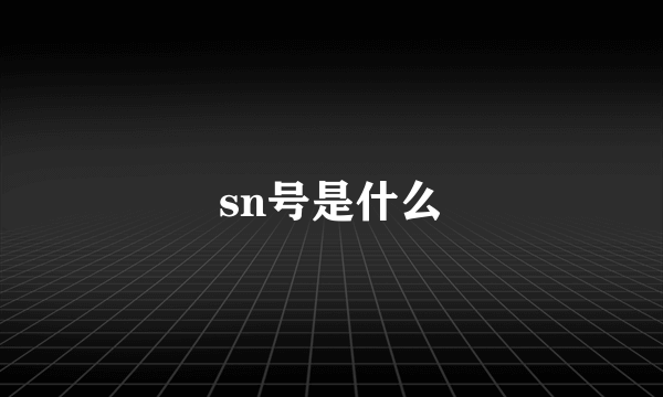 sn号是什么