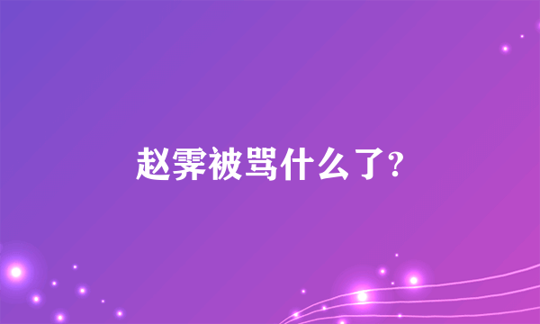 赵霁被骂什么了?