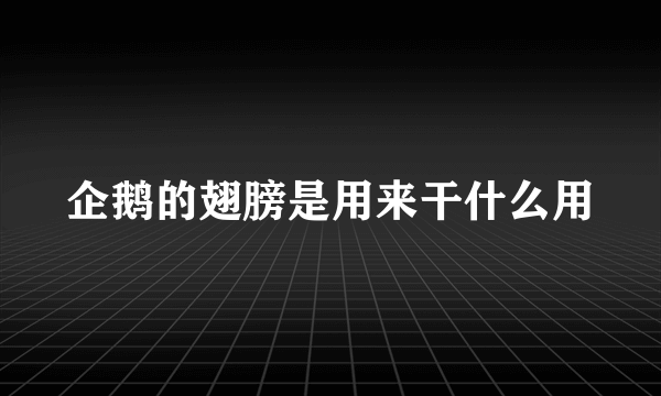 企鹅的翅膀是用来干什么用