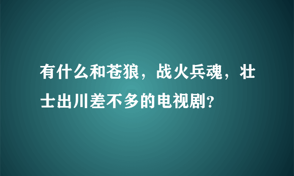 有什么和苍狼，战火兵魂，壮士出川差不多的电视剧？