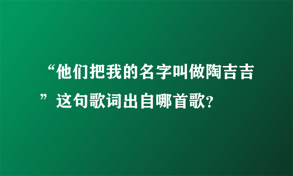 “他们把我的名字叫做陶吉吉”这句歌词出自哪首歌？