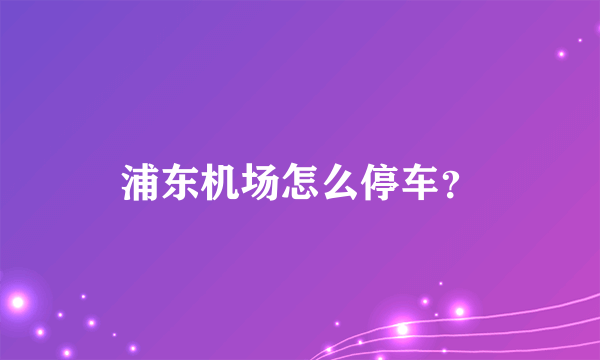 浦东机场怎么停车？