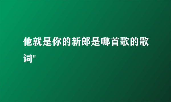 他就是你的新郎是哪首歌的歌词