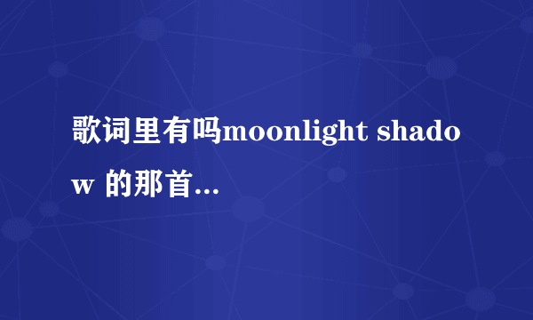 歌词里有吗moonlight shadow 的那首歌叫什么，我要下