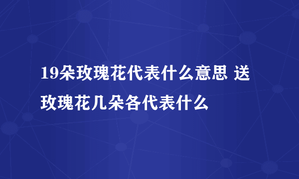 19朵玫瑰花代表什么意思 送玫瑰花几朵各代表什么