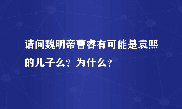 请问魏明帝曹睿有可能是袁熙的儿子么？为什么？