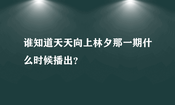 谁知道天天向上林夕那一期什么时候播出？