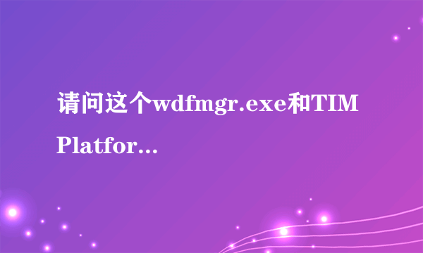 请问这个wdfmgr.exe和TIMPlatform.exe是什么?在进程里出现的.