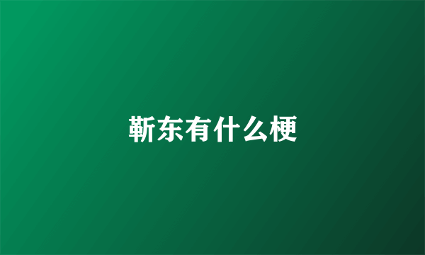 靳东有什么梗