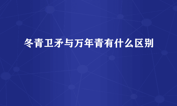 冬青卫矛与万年青有什么区别