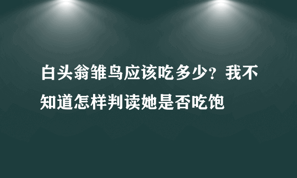 白头翁雏鸟应该吃多少？我不知道怎样判读她是否吃饱