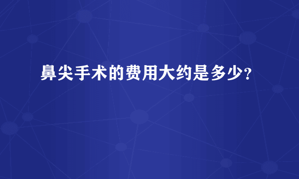 鼻尖手术的费用大约是多少？