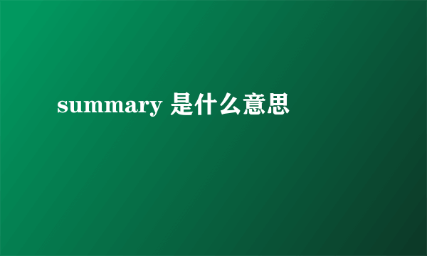 summary 是什么意思