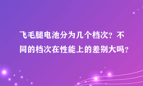 飞毛腿电池分为几个档次？不同的档次在性能上的差别大吗？