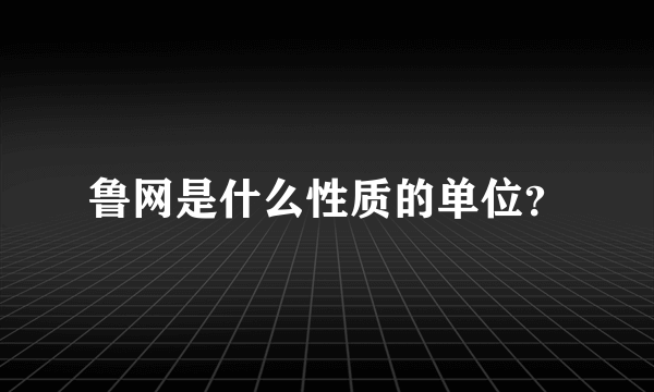 鲁网是什么性质的单位？