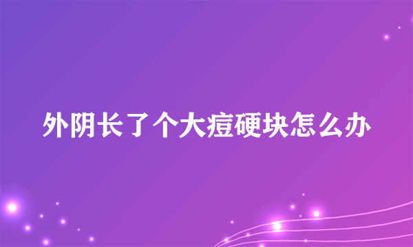 外阴长了个大痘硬块怎么办