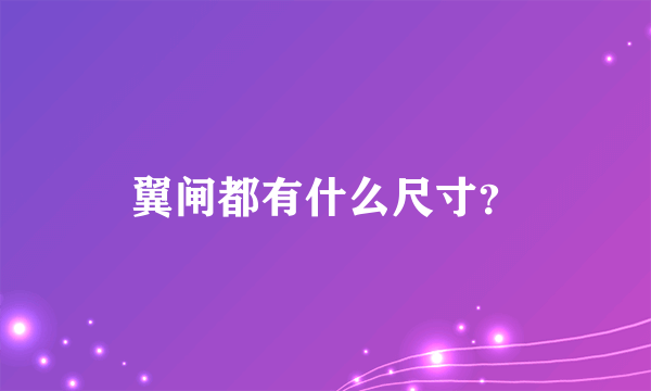 翼闸都有什么尺寸？