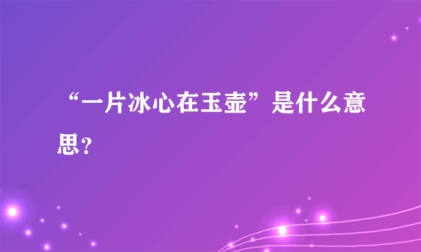 “一片冰心在玉壶”是什么意思？