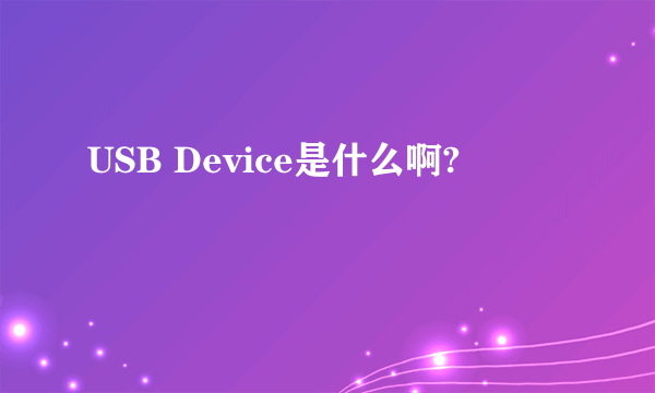 USB Device是什么啊?