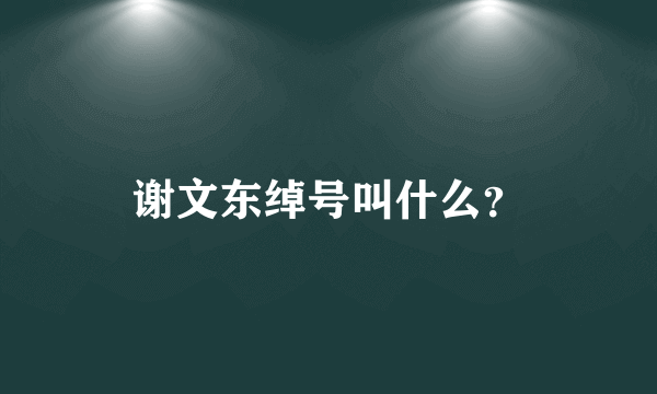 谢文东绰号叫什么？