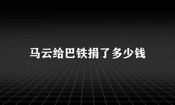 马云给巴铁捐了多少钱