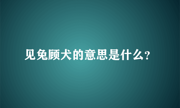 见兔顾犬的意思是什么？