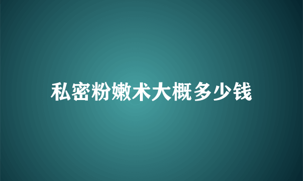 私密粉嫩术大概多少钱