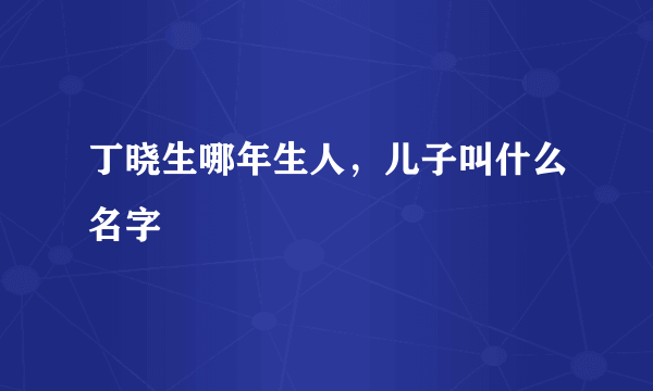 丁晓生哪年生人，儿子叫什么名字