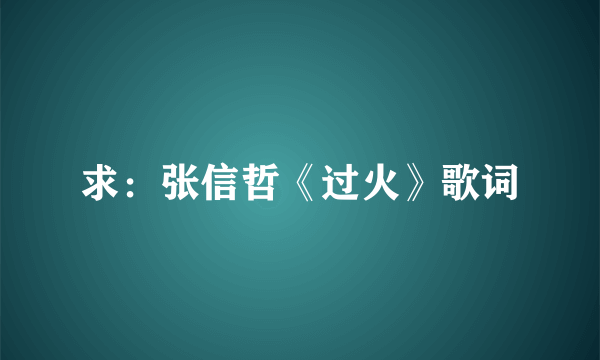 求：张信哲《过火》歌词