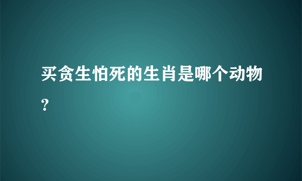 买贪生怕死的生肖是哪个动物？