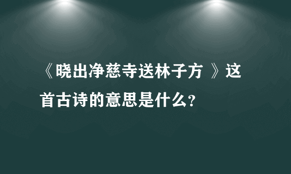 《晓出净慈寺送林子方 》这首古诗的意思是什么？