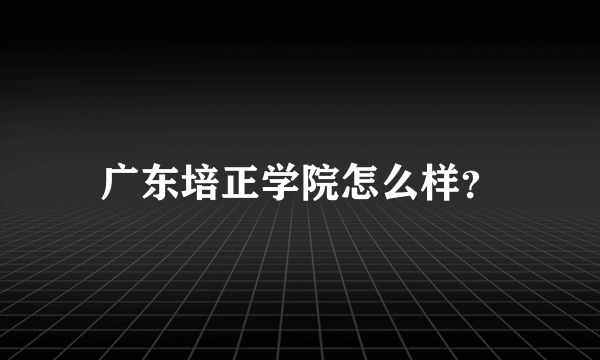 广东培正学院怎么样？