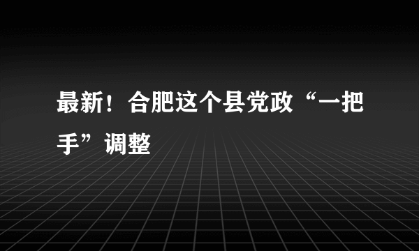 最新！合肥这个县党政“一把手”调整