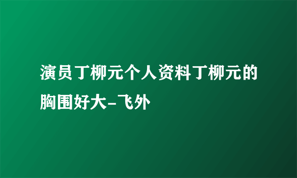 演员丁柳元个人资料丁柳元的胸围好大-飞外