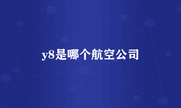 y8是哪个航空公司