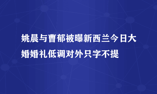 姚晨与曹郁被曝新西兰今日大婚婚礼低调对外只字不提