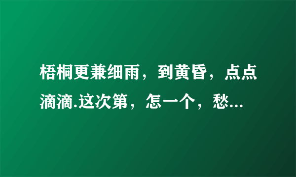 梧桐更兼细雨，到黄昏，点点滴滴.这次第，怎一个，愁字了得，什么意思