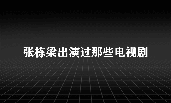 张栋梁出演过那些电视剧