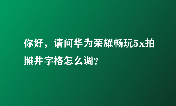 你好，请问华为荣耀畅玩5x拍照井字格怎么调？